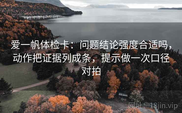 爱一帆体检卡：问题结论强度合适吗，动作把证据列成条，提示做一次口径对拍
